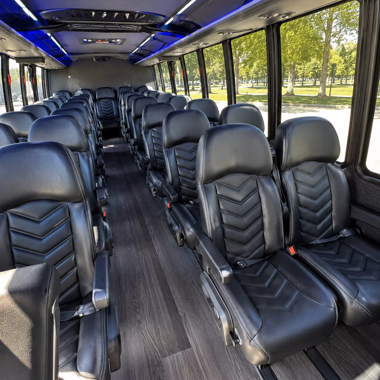 bachelor and bachelorette party buses in harlingen texas